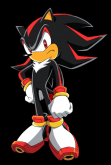 shadow-hedgehog.png